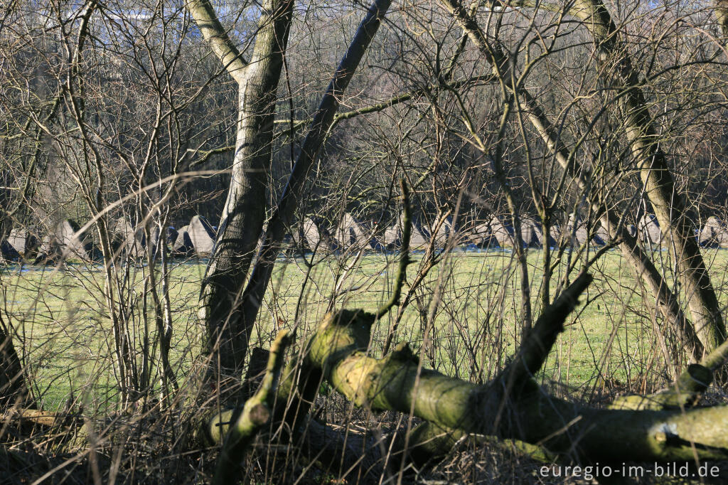 Panzersperre des Westwalls bei Lammersdorf