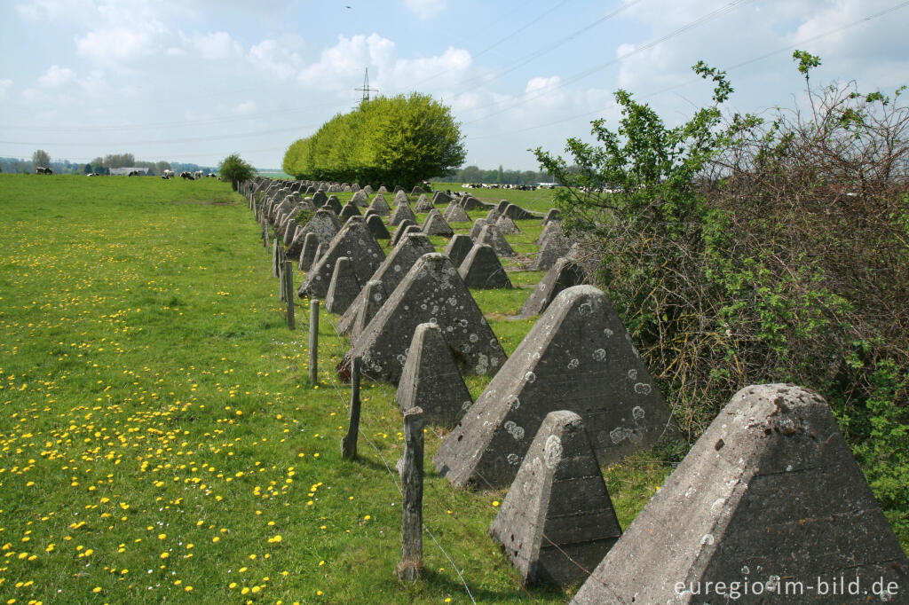 Detailansicht von Panzersperre und Kuhweide, Herzogenrath