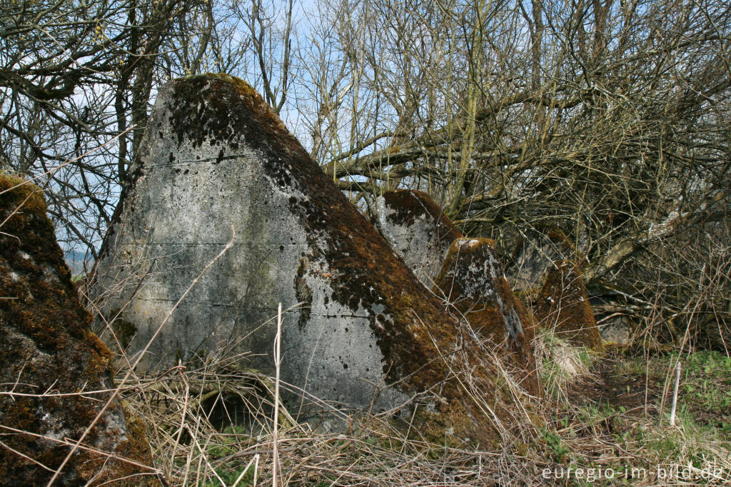 Detailansicht von Panzersperre, westlich von Simmerath