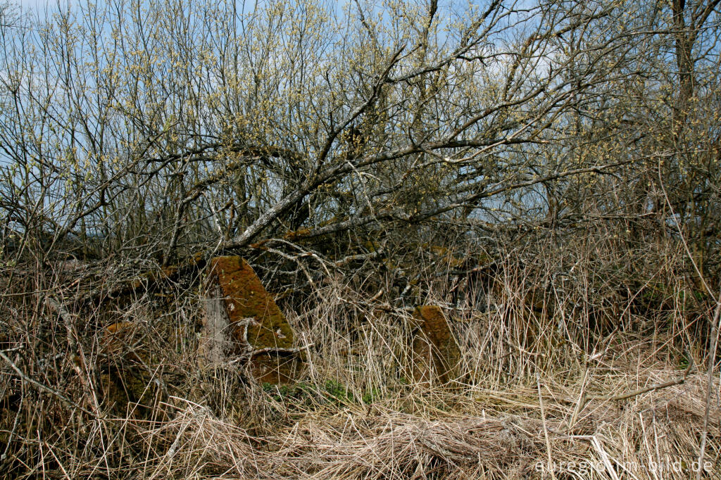 Detailansicht von Panzersperre, westlich von Simmerath