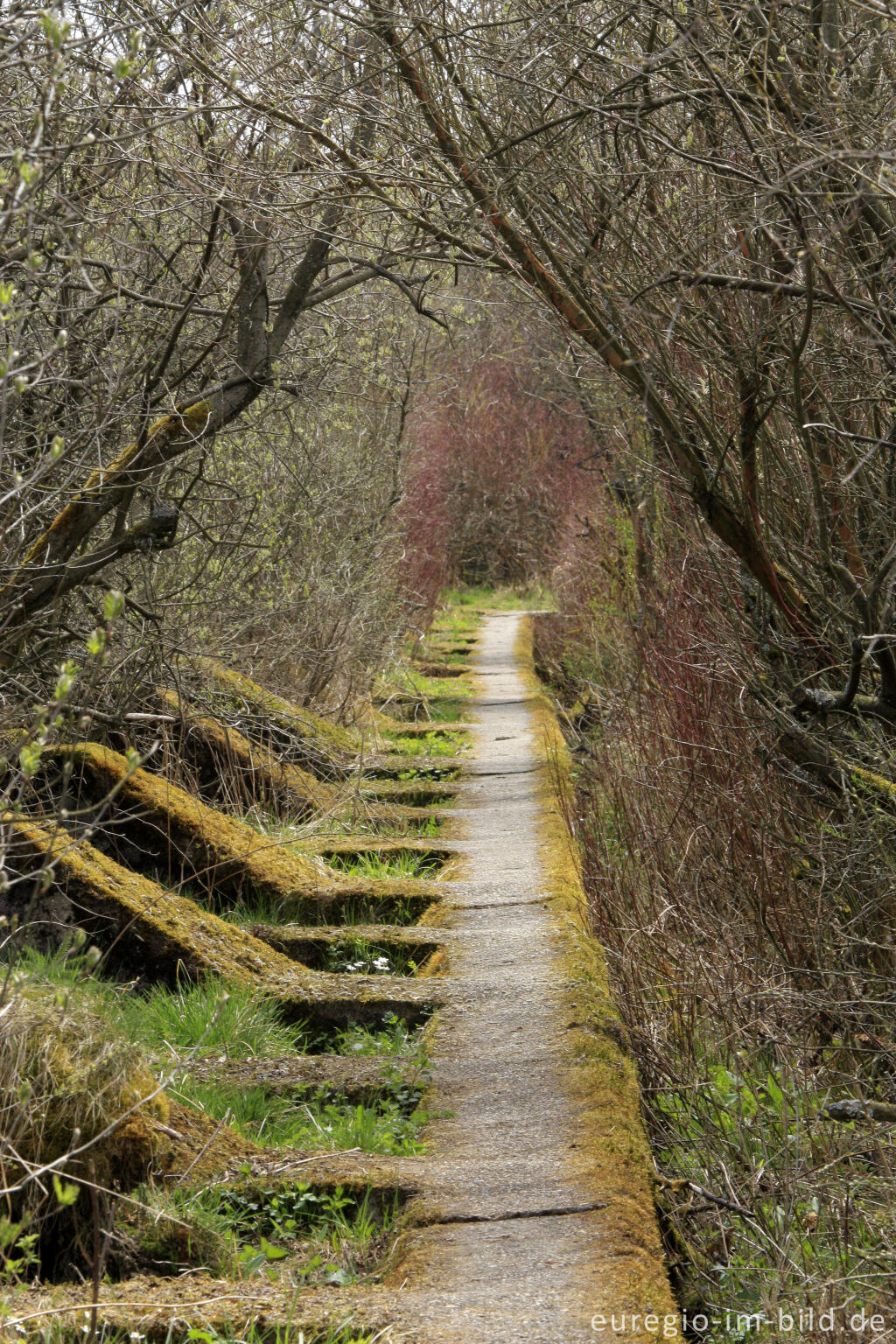 Detailansicht von Panzersperre, westlich von Simmerath