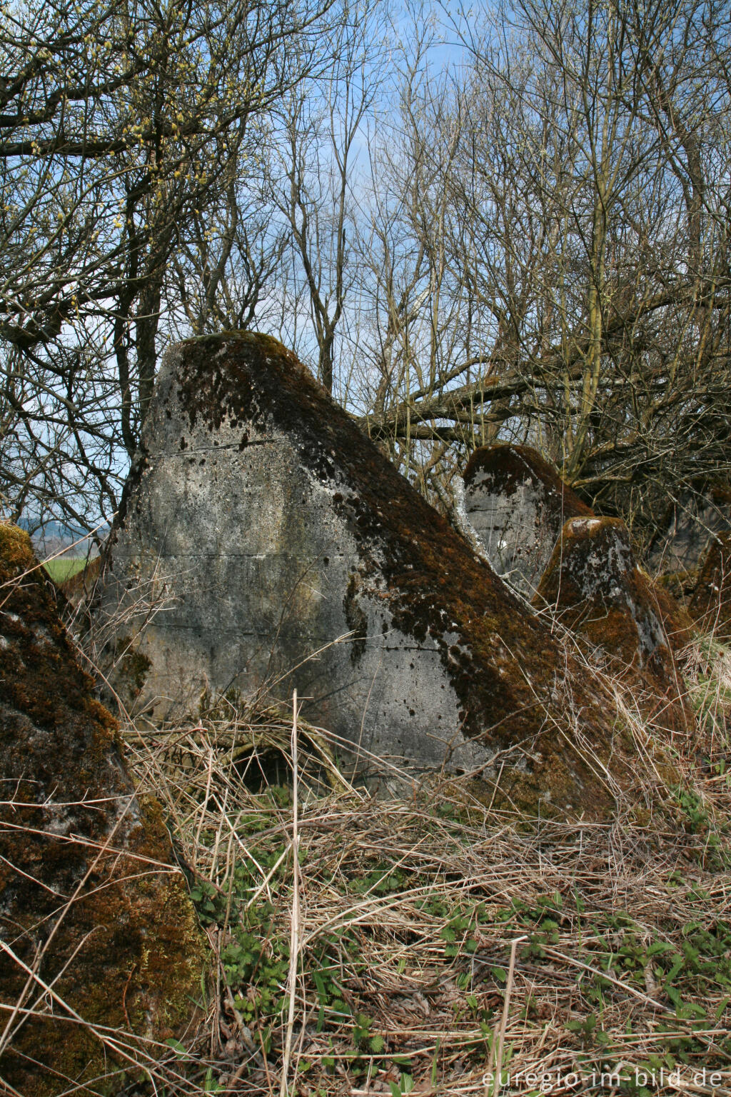 Detailansicht von Panzersperre, westlich von Simmerath