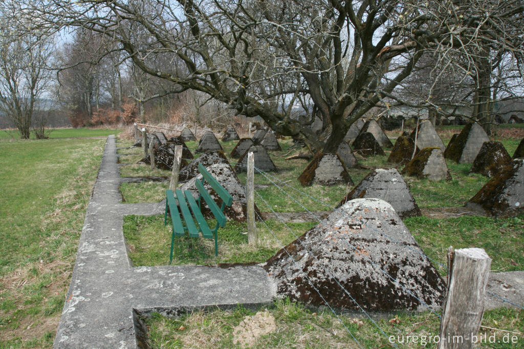 Detailansicht von Panzersperre, westlich von Simmerath