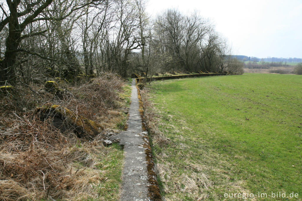 Detailansicht von Panzersperre, westlich von Simmerath