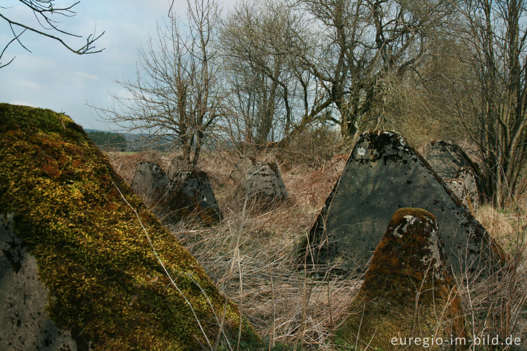 Detailansicht von Panzersperre, westlich von Simmerath