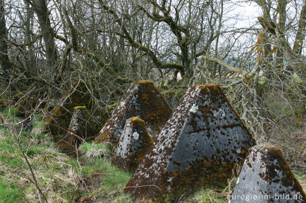 Detailansicht von Panzersperre, westlich von Simmerath