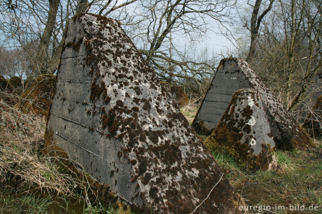 Detailansicht von Panzersperre, westlich von Simmerath