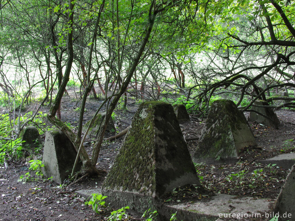 Detailansicht von Panzersperren im Indetal bei Stolberg