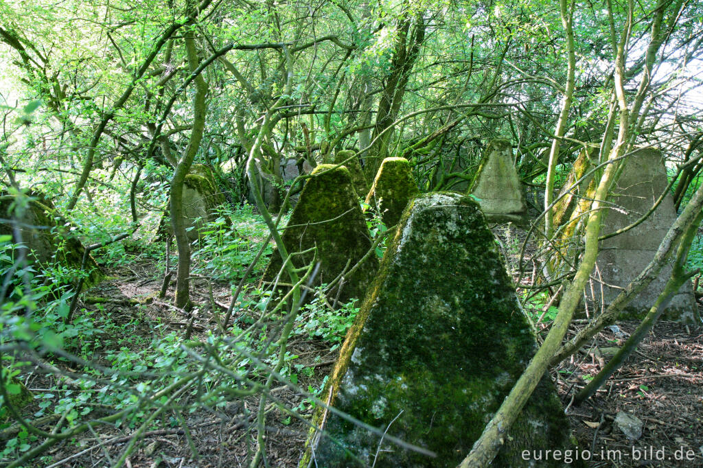 Detailansicht von Panzersperren im Indetal bei Stolberg