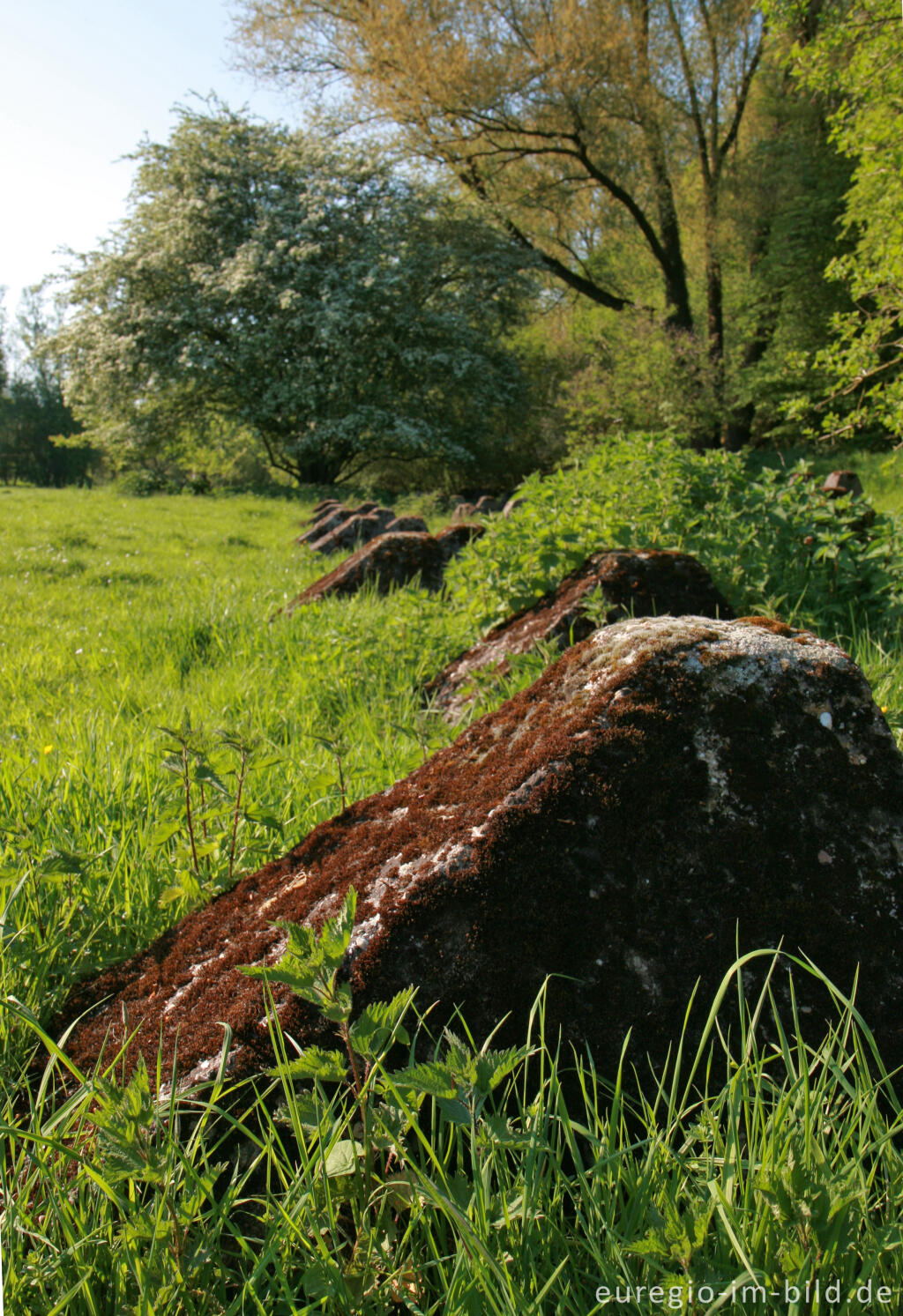 Detailansicht von Panzersperren im Indetal bei Stolberg