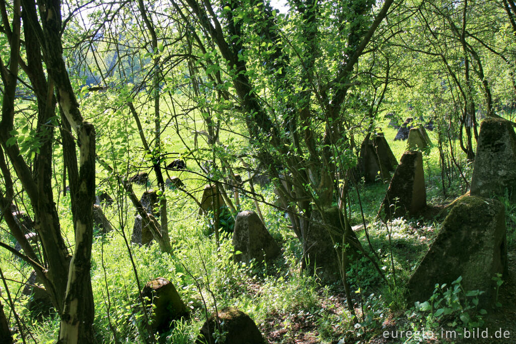 Detailansicht von Panzersperren im Indetal bei Stolberg