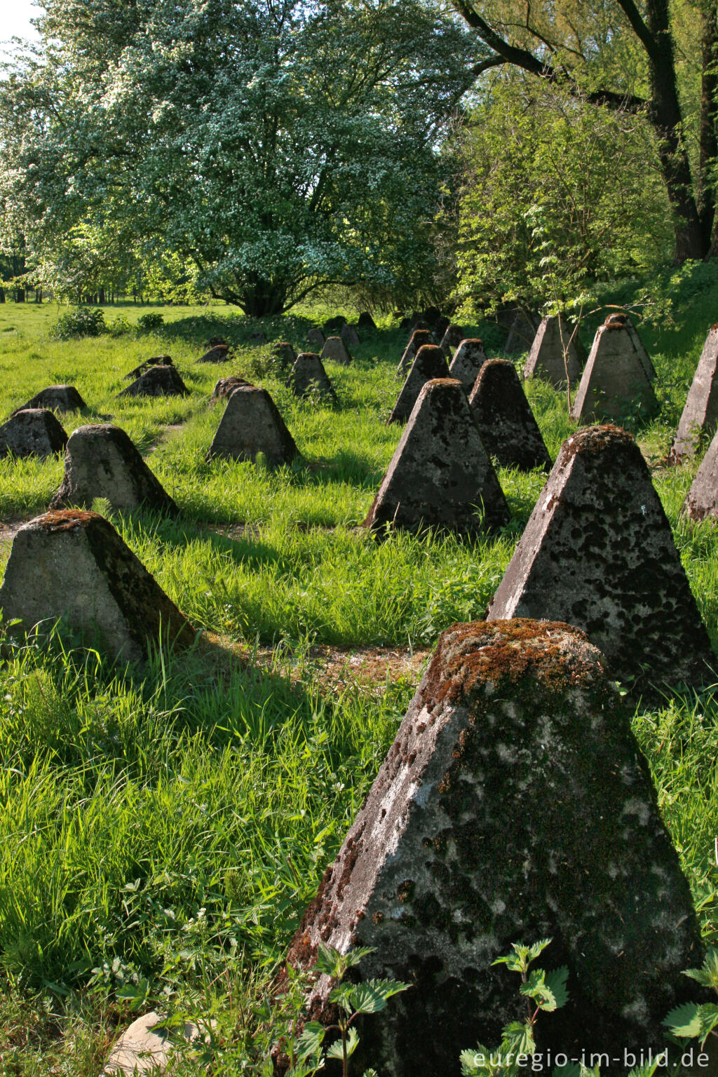 Detailansicht von Panzersperren im Indetal bei Stolberg