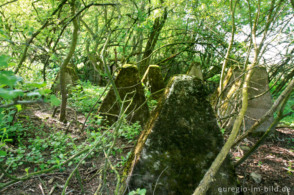 Detailansicht von Panzersperren im Indetal bei Stolberg