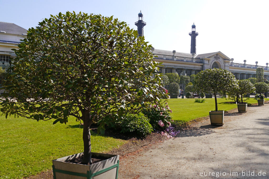 Detailansicht von Park bei den Königlichen Gewächshäusern (Laeken bei Brüssel)