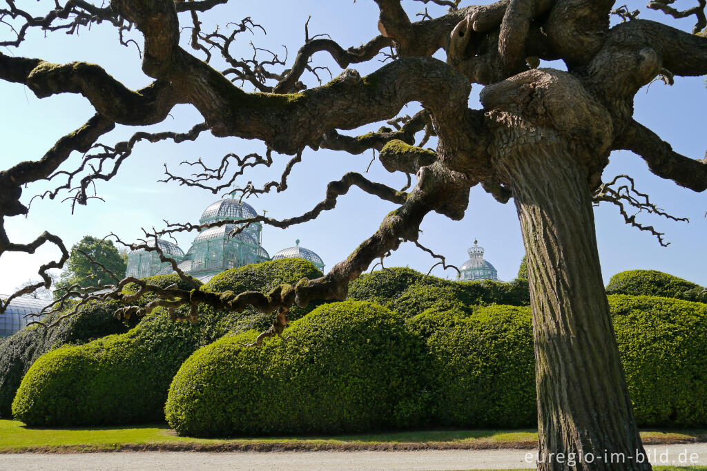 Park und  Königliche Gewächshäuser in Laken (Laeken) bei Brüssel