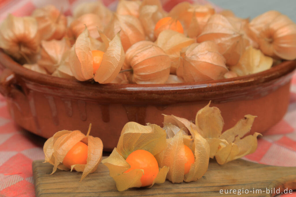 Detailansicht von Physalis oder Andenbeere