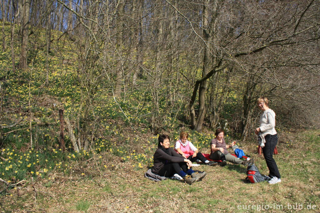 Detailansicht von Picknick am Rand des Narzissenwaldes, bei Kelmis / La Calamine, Belgien