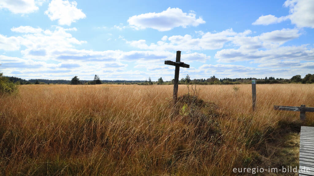 Detailansicht von Pilgerkreuz im Steinley-Venn