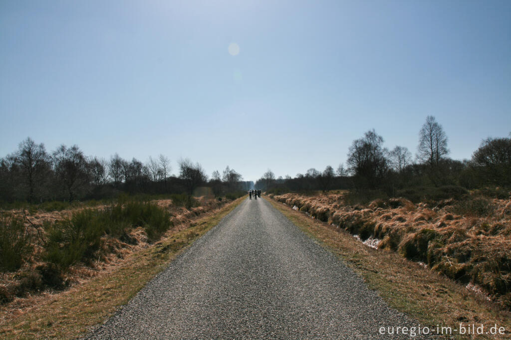 Pilgerweg durch das Steinley