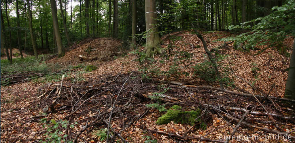 Detailansicht von Pingen - ein Bodendenkmal bei Golbach