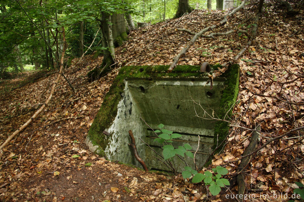 Detailansicht von Pingen - ein Bodendenkmal bei Golbach