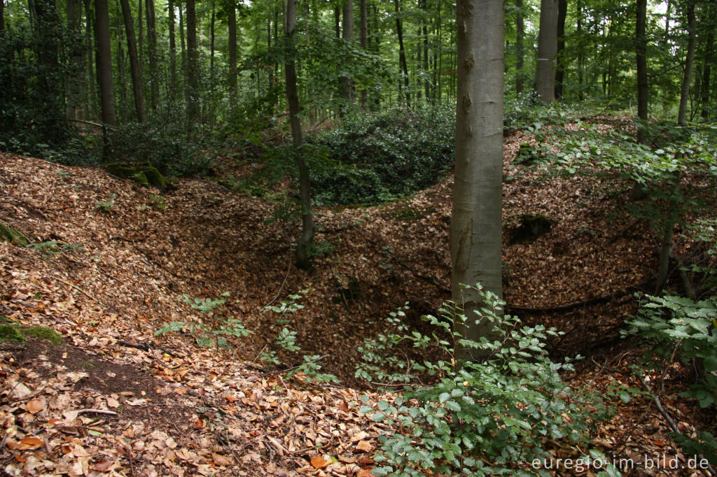 Detailansicht von Pingen - ein Bodendenkmal bei Golbach