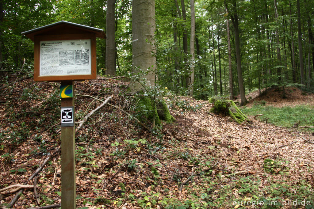 Detailansicht von Pingen - ein Bodendenkmal bei Golbach