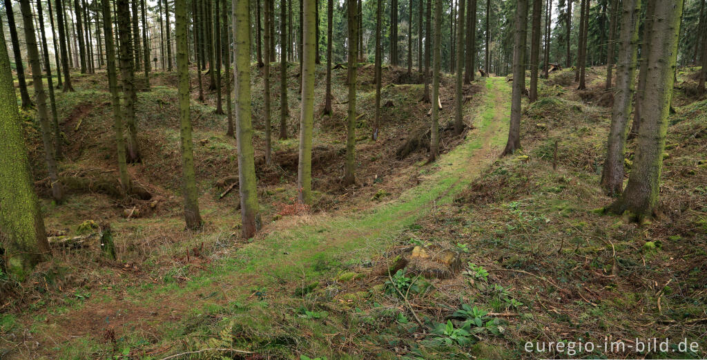 Detailansicht von Pingen - ein Bodendenkmal in der Nähe von Kall und Golbach