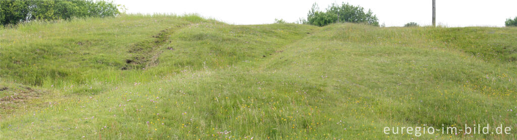 Detailansicht von Pingenlandschaft mit Galmeiflora auf dem Brockenberg bei Stolberg