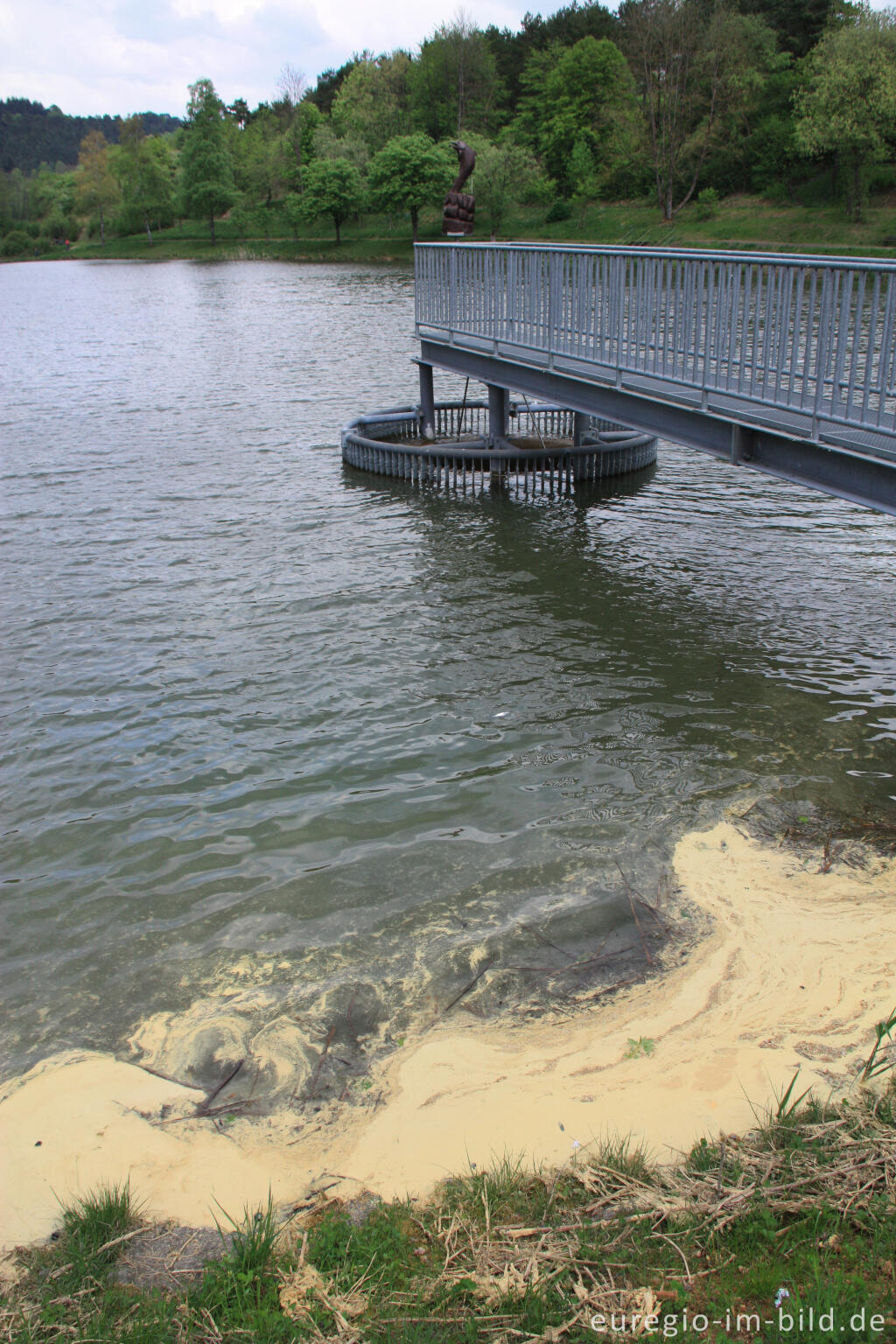 Detailansicht von Pollen auf dem Stausee Gerolstein