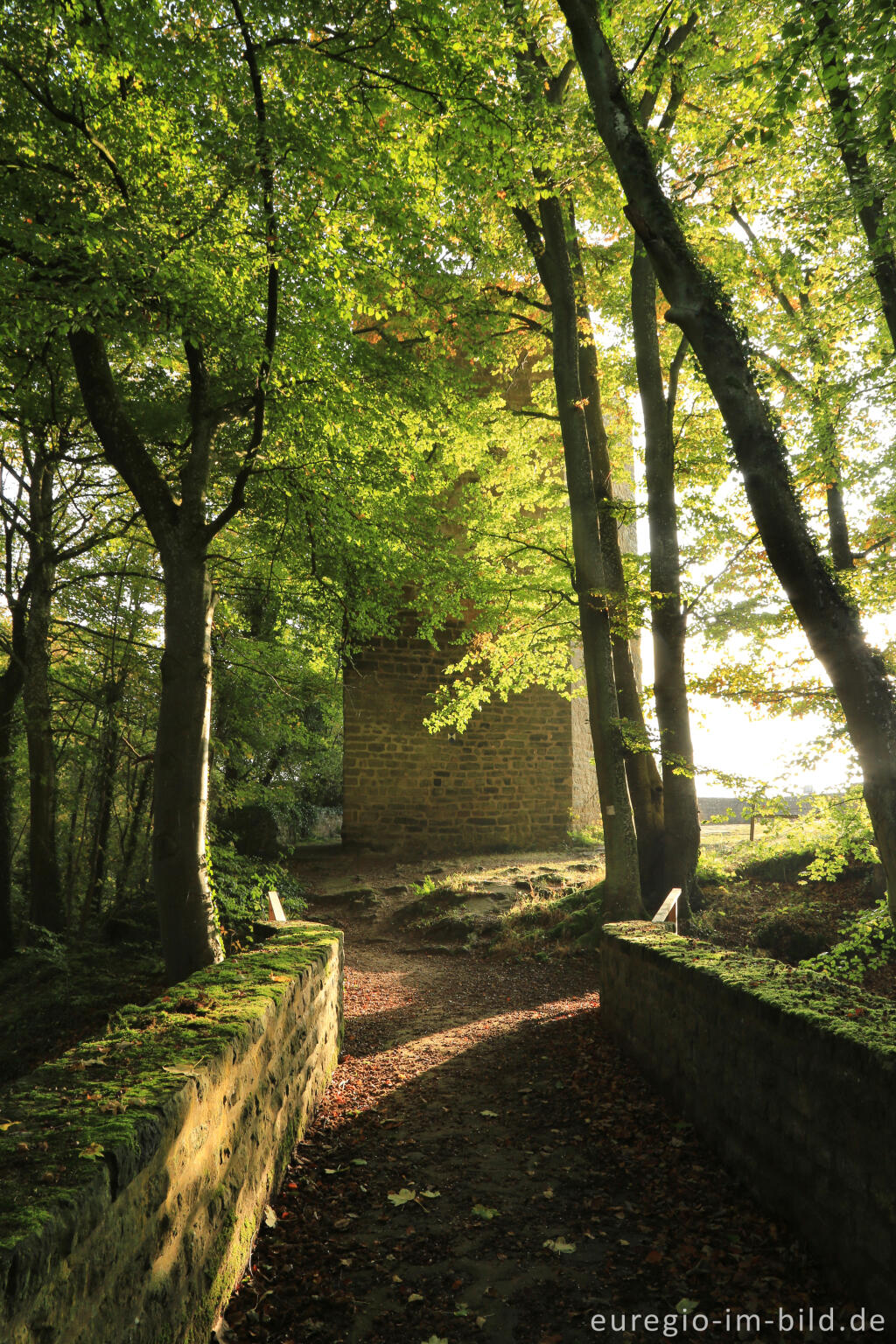 Detailansicht von Prümerburg, Rheinland-Pfalz