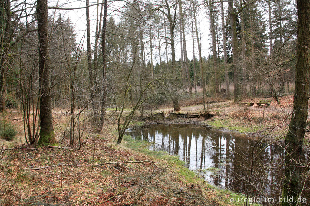 Detailansicht von Quelle der Göhl (Geul, Gueule) bei Lichtenbusch in Belgien