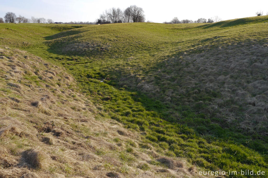 Detailansicht von Quellgebiet in einer Wiese bei Lontzen-Busch 