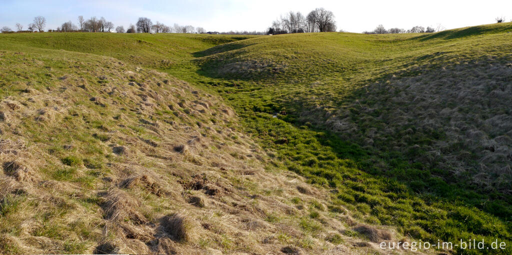 Detailansicht von Quellgebiet in einer Wiese bei Lontzen-Busch 