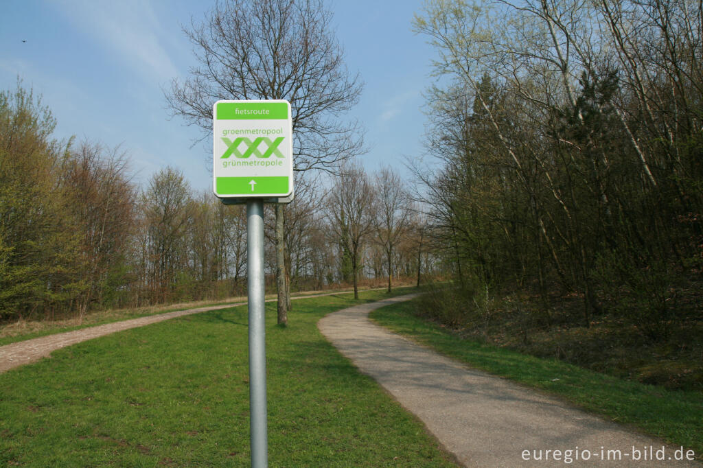 Detailansicht von Radweg am Fuß des Wilhelminabergs, Park Gravenrode