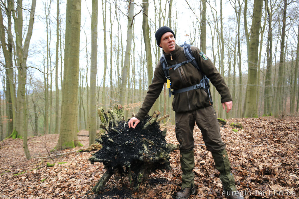 Detailansicht von Rangertour im Wilden Kermeter