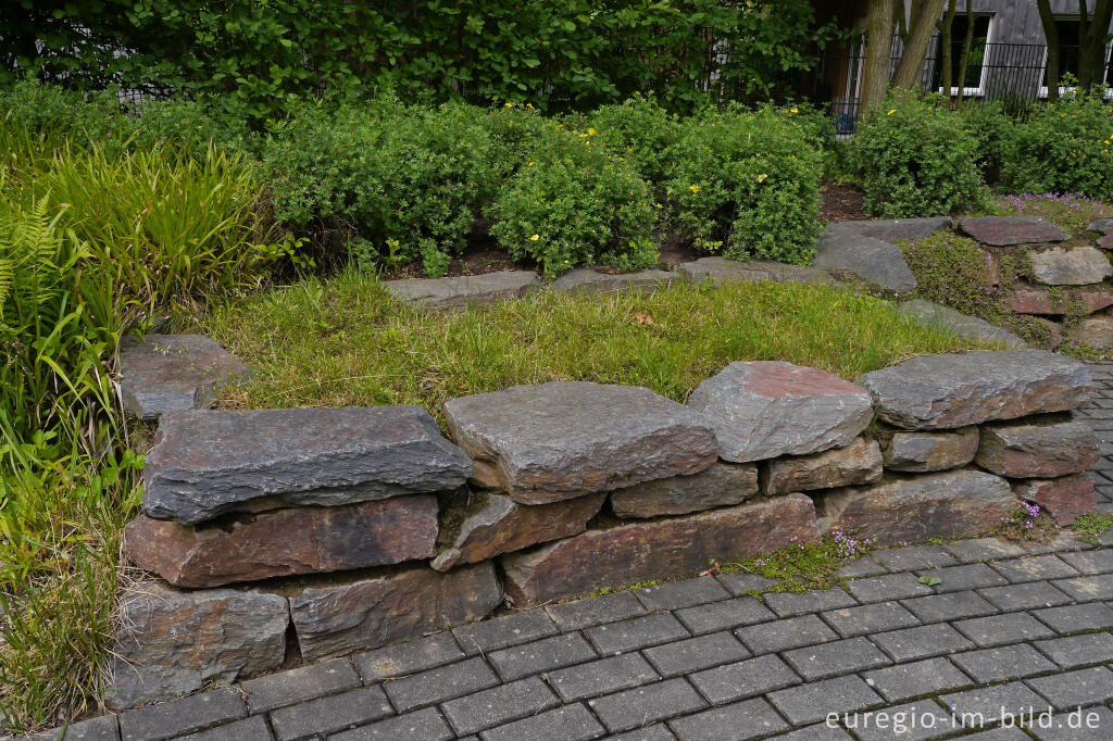 Detailansicht von Rasenstück für Rollstuhlfahrer im "Garten der Sinne" 