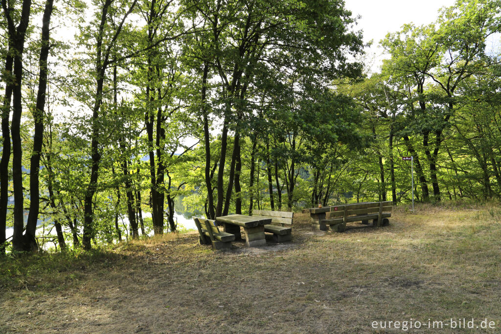 Detailansicht von Rastplatz am Obersee (Rurtalsperre)