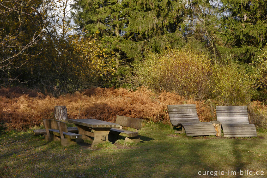 Detailansicht von Rastplatz auf dem Struffelt 