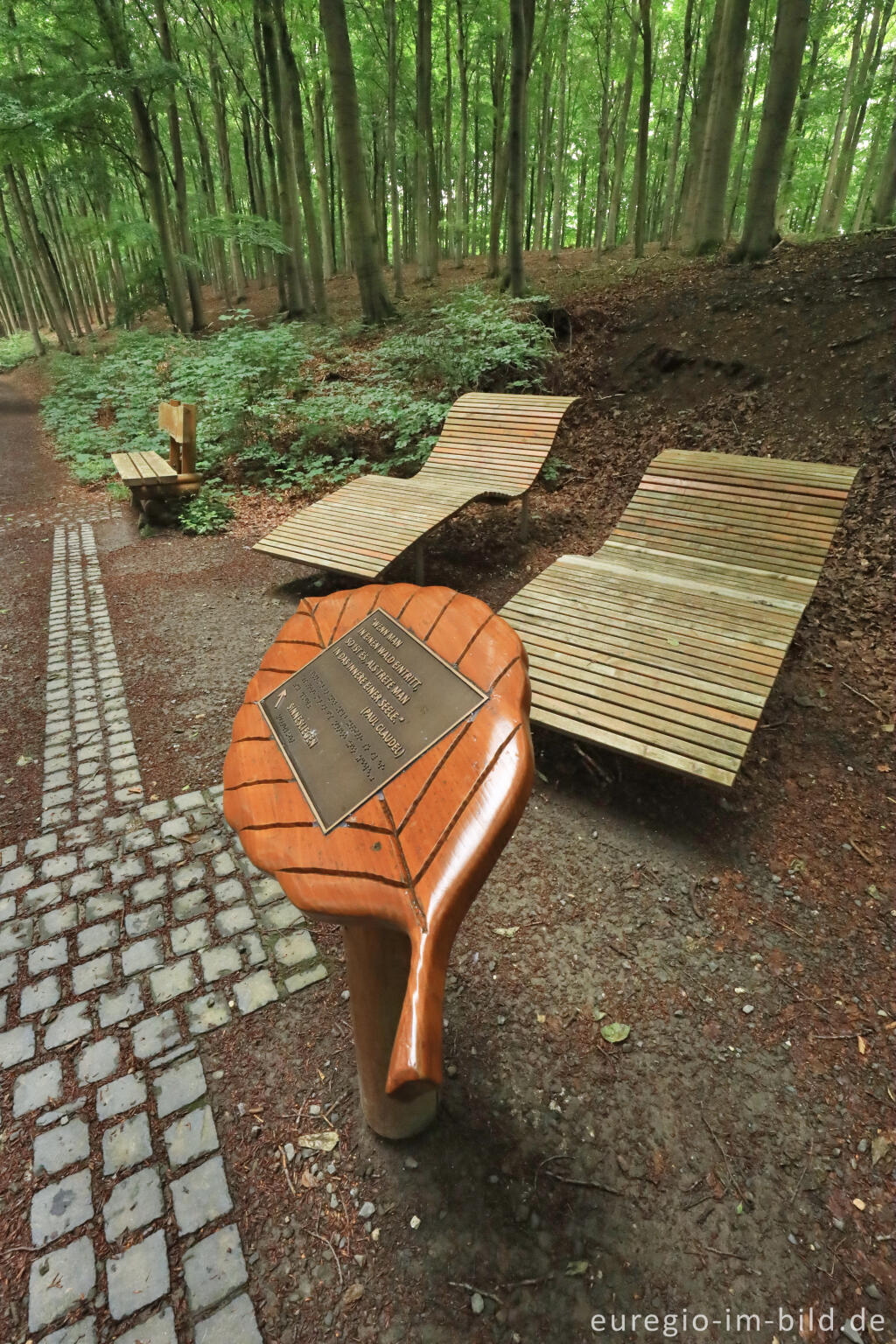 Detailansicht von Rastplatz auf der Hirschley-Route im Kermeter, Nationalpark Eifel