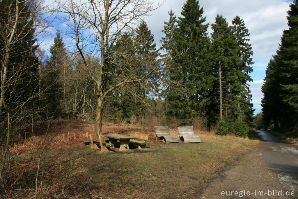 Detailansicht von Rastplatz, NSG Struffelt-Heide, Eifelsteig, 1. Etappe 