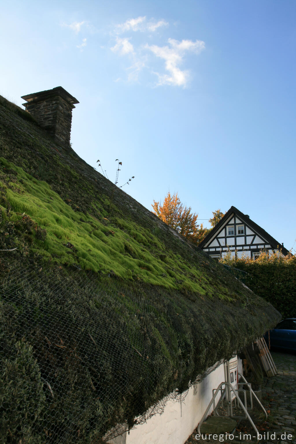 Detailansicht von Reetdach in Höfen