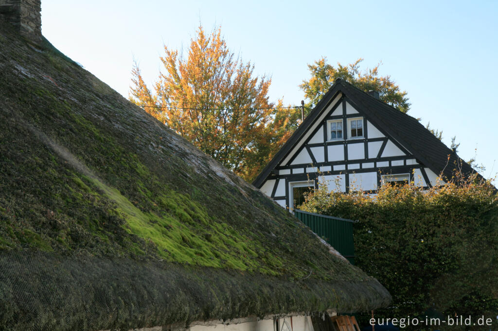 Detailansicht von Reetdach in Höfen 