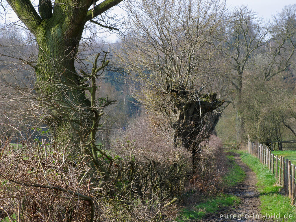 Detailansicht von Reiterpfad im Wurmtal bei der Alten Mühle, Herzogenrath-Kohlscheid