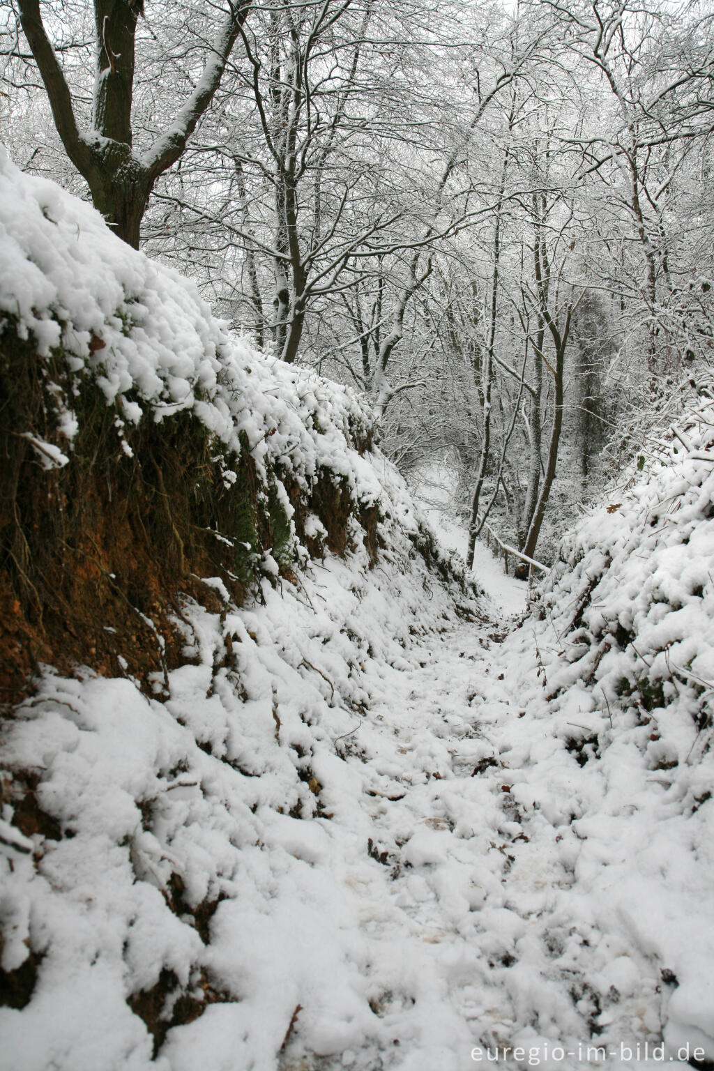 Detailansicht von Reitweg im Wurmtal bei Würselen-Pley