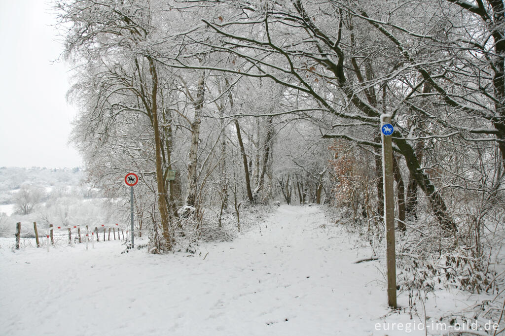 Detailansicht von Reitweg im Wurmtal bei Würselen-Pley