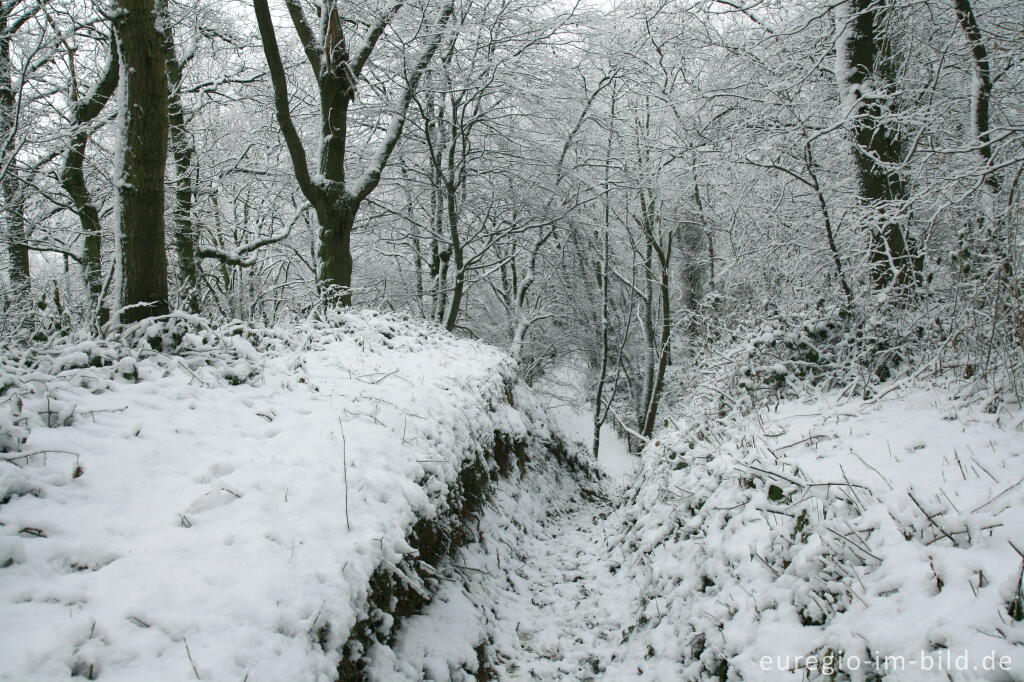 Detailansicht von Reitweg im Wurmtal bei Würselen-Pley