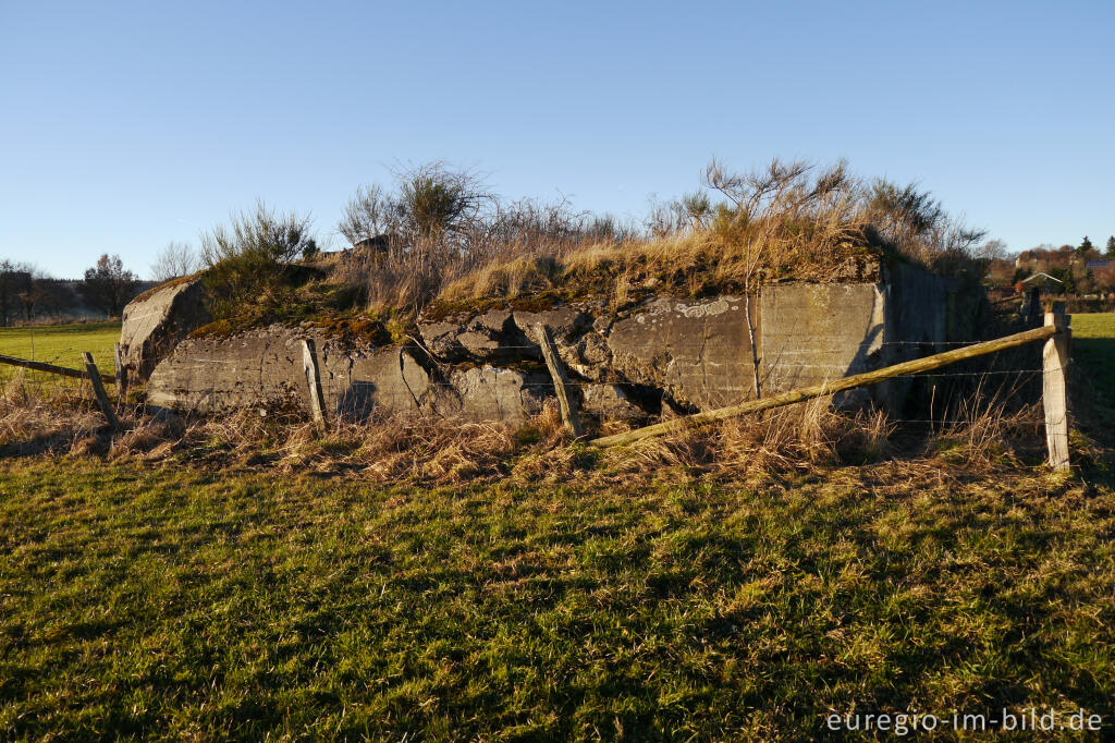 Detailansicht von Relikt der Befestigungen des sog. Westwalls von 1938/39 in der Schnee-Eifel