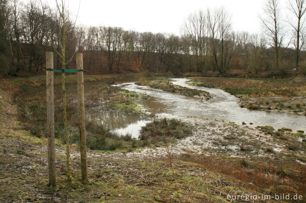 Detailansicht von Renaturierung Wurm bei der Wolfsfurth, 2010