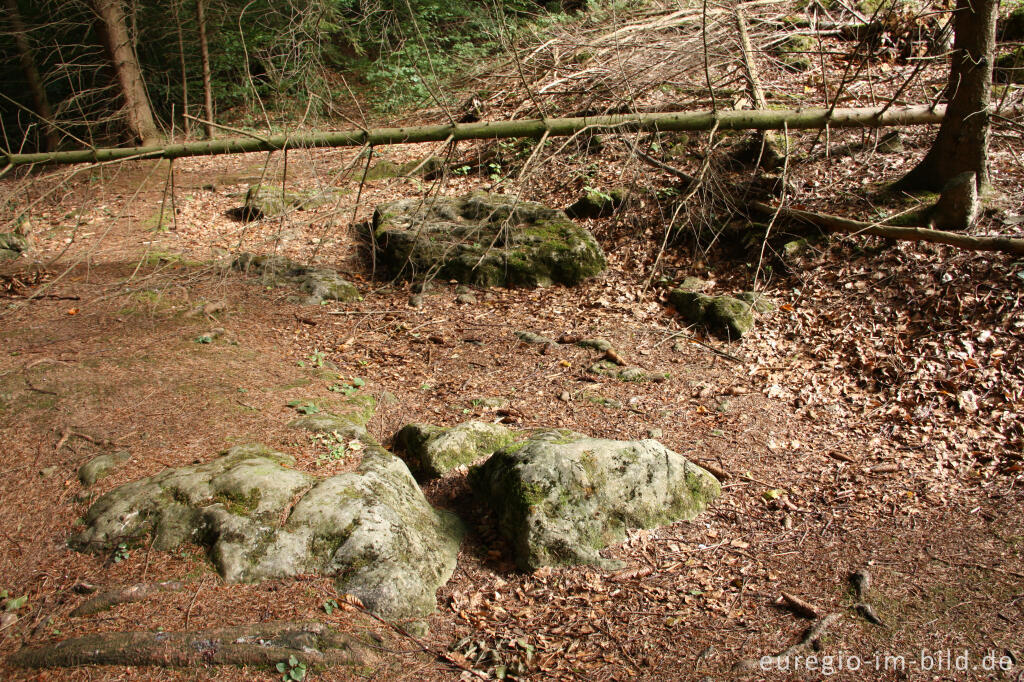 Detailansicht von Reste einer Römerstraße, Eifelsteig, 6.Etappe